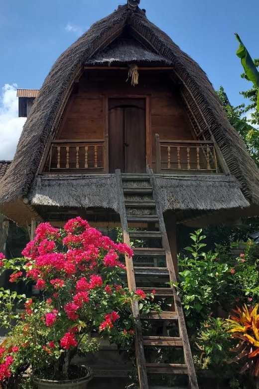 Bali: Guided Understanding Bali Ancient Civilization History - Panoramic Temple Vistas