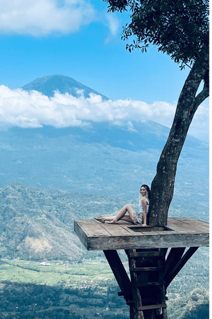 Bali: Half-Day Private Tour with a trusted Female Driver - Who Will Benefit Most?