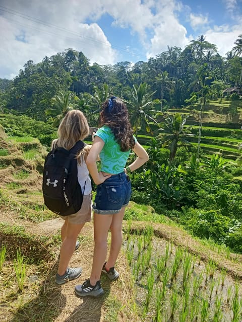 Bali: Half Day Tirta Empul and Bliss Massage - Pickup and Drop-off Locations