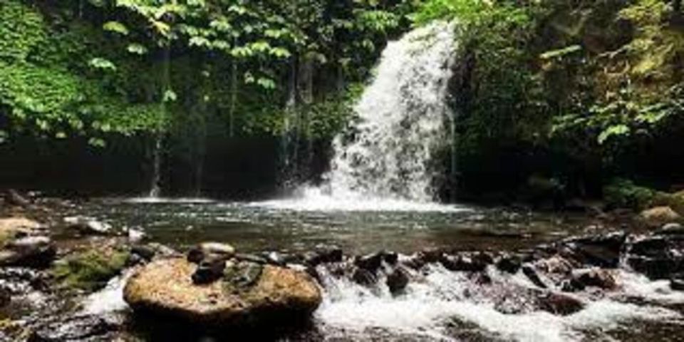 Bali: Hidden Gem Waterfall & Rice Terrace Tour - Itinerary Highlights