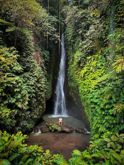 Bali: Hidden Gem Waterfall & Rice Terrace Tour - Taman Ayun Temple Visit
