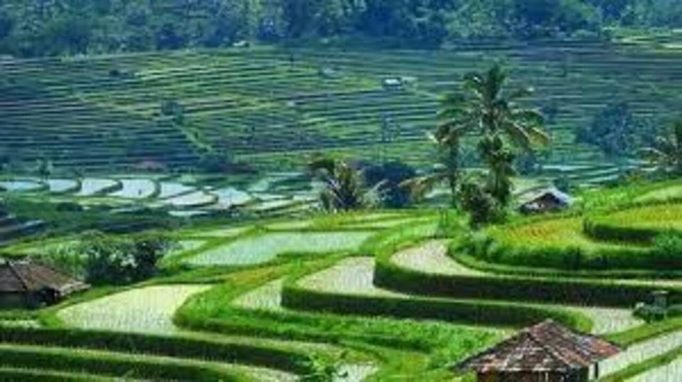 Bali: Hidden Gem Waterfall & Rice Terrace Tour - Frequently Asked Questions