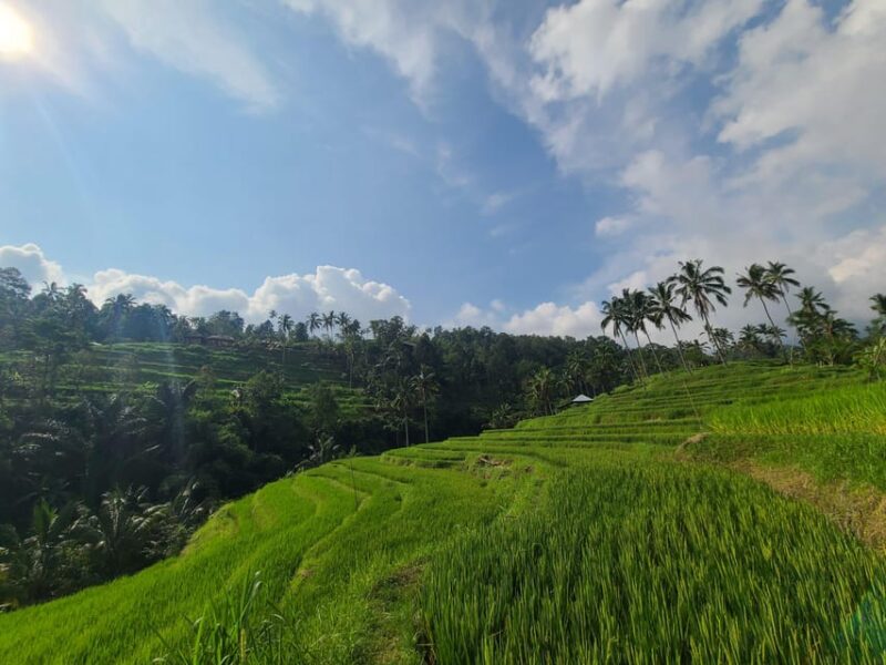 Bali Hidden Trekking, Waterslide, Sekumpul, & Fiji Waterfall - Inclusions and What to Bring