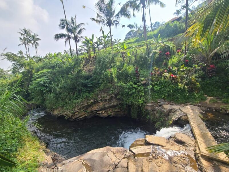 Bali Hidden Trekking, Waterslide, Sekumpul, & Fiji Waterfall - Customer Reviews and Ratings