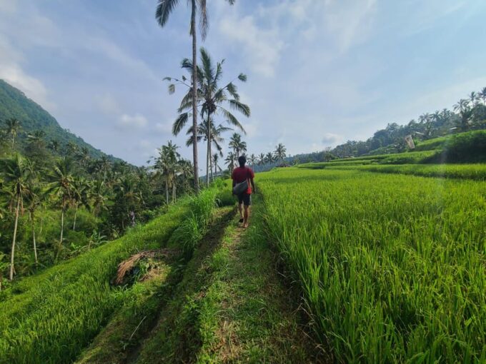 Bali Hidden Trekking, Waterslide, Sekumpul, & Fiji Waterfall - Frequently Asked Questions