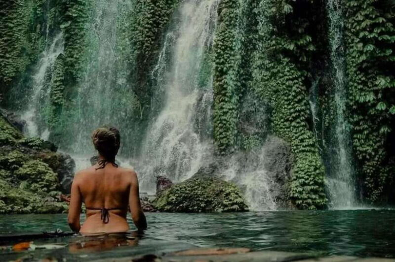 Bali: Hidden Waterfalls Private Tour (All-Inclusive) - Who Will Love This Tour?