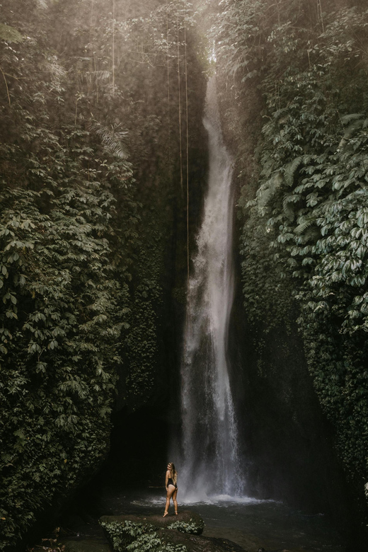 Bali : Hidden Waterfalls Tour (All Inclusive & Private) - Nature Immersion