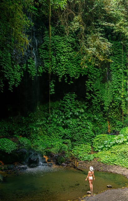 Bali : Hidden Waterfalls Tour (All Inclusive & Private) - Important Information