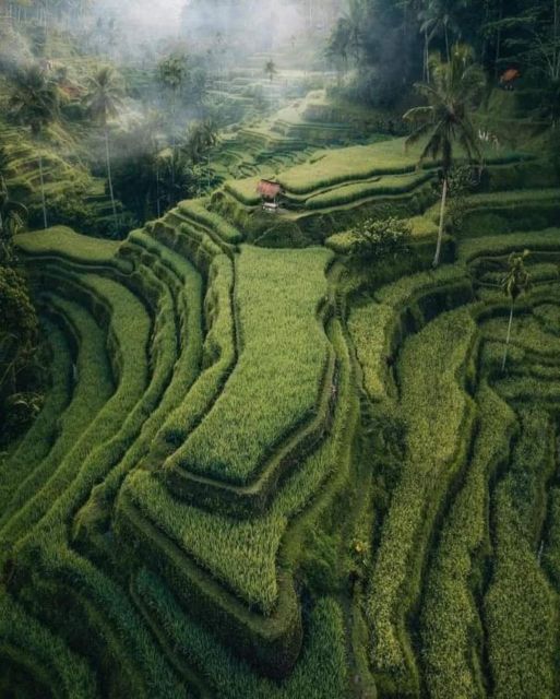 Bali : Highlight of Ubud Culture, Temple and Batur Volcano - Batur Volcano: Panoramic Views From Kintamani Hilltop