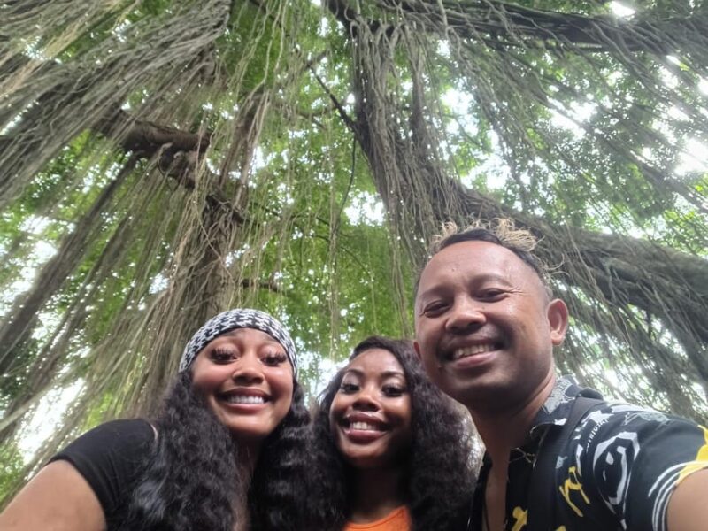 Bali: Highlights Jeep Tour Best Sunrise Views With Transfers - Tour Inclusions