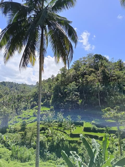 Bali : Highlights Tour for 3 Days - Flexible Booking