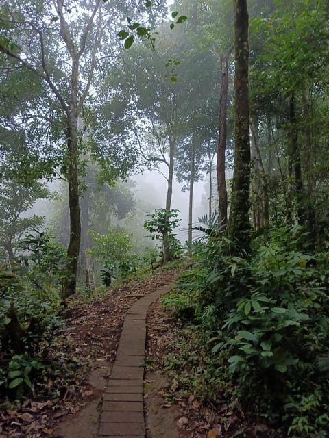 Bali : Highlights Tour for 3 Days - Frequently Asked Questions