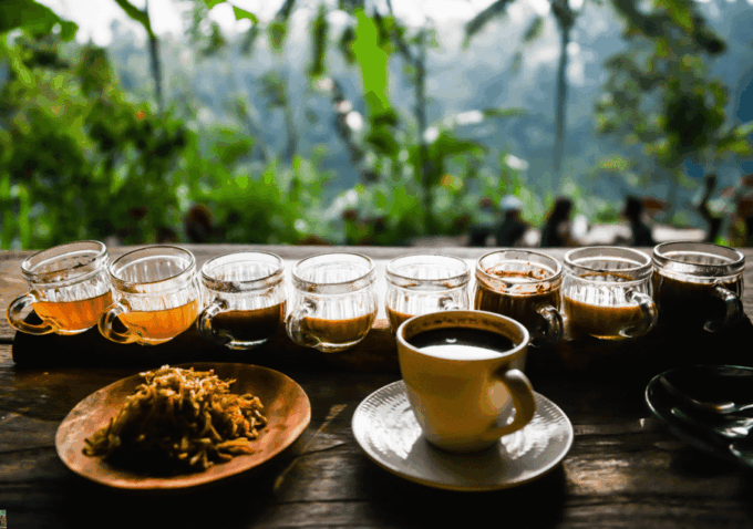 Bali Highlights: Volcanoes, Temples, Waterfall, Rice Terrace - Tirta Empul: Sacred Water Temple
