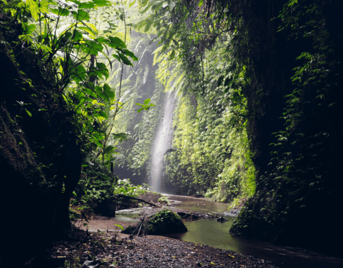 Bali Highlights: Volcanoes, Temples, Waterfall, Rice Terrace - Frequently Asked Questions