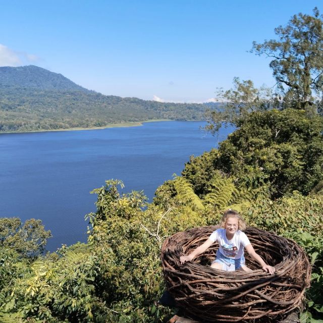 Bali: Hire a Private Car With an Experienced Local Driver - Key Points