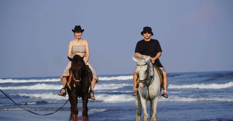 Bali: Horse Riding Beach Experience Include Transport - Experience Highlights