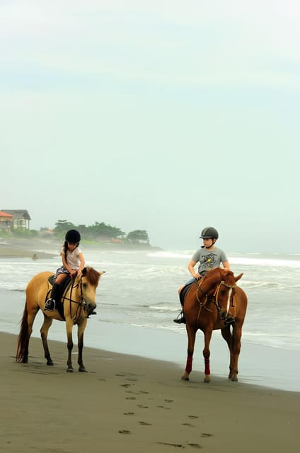 Bali: Horse Riding Beach Experience Include Transport - Customer Feedback