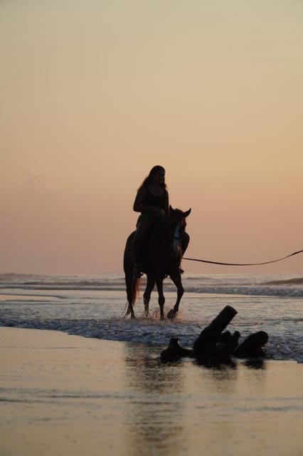 Bali: Horse Riding Beach Experience Include Transport - Frequently Asked Questions