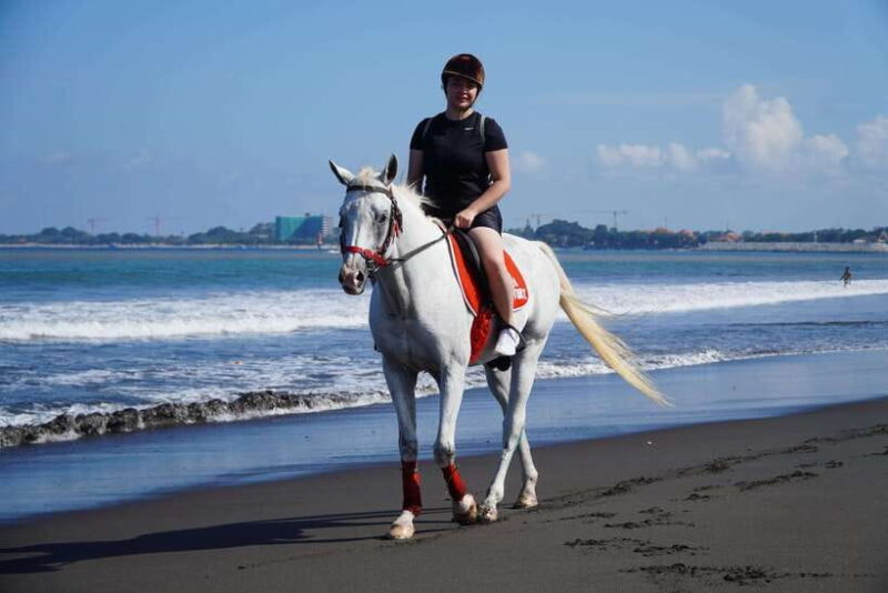 Bali: Horse Riding Experience in Sanur (1 Hour ride) - What to Expect During Your Bali Horseback Ride