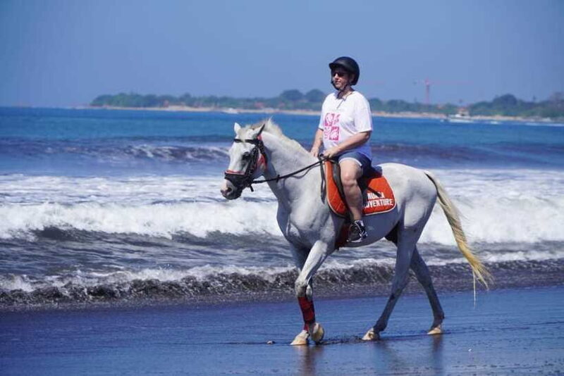 Bali: Horse Riding Experience in Sanur (1 Hour ride) - Authentic Experiences and Tips