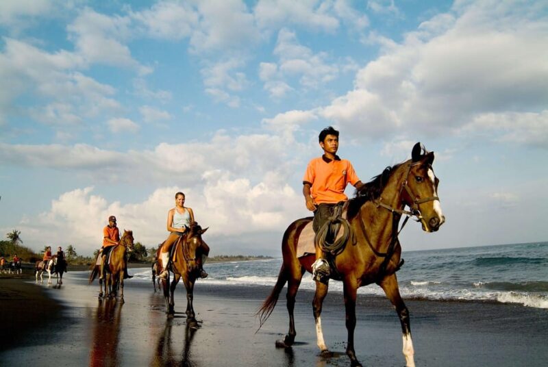 Bali Horse Riding on Black Sand Beach - Good To Know