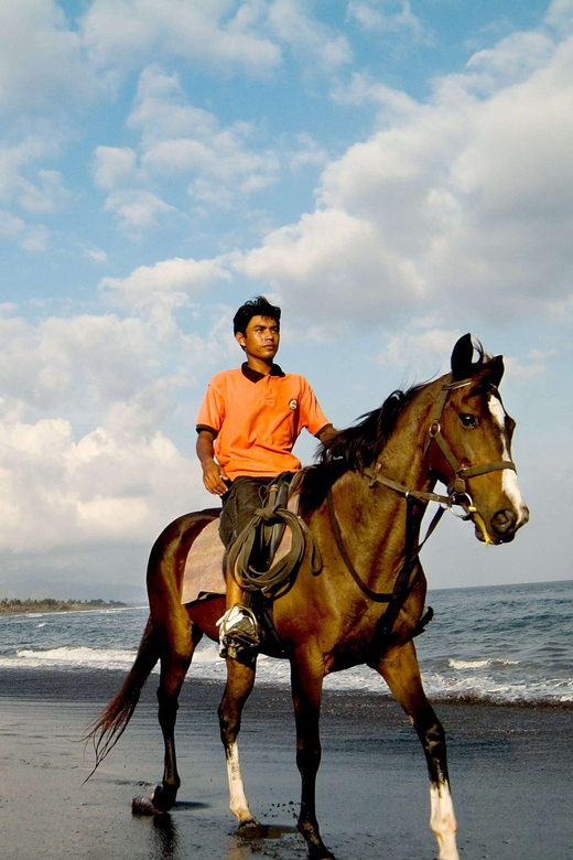 Bali Horse Riding on Black Sand Beach - Experience Highlights