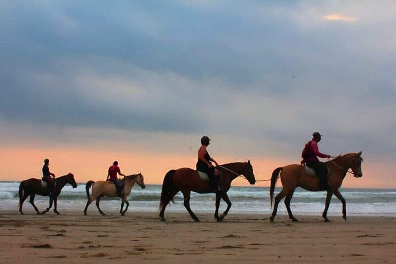 Bali Horse Riding on Black Sand Beach - Meeting Point