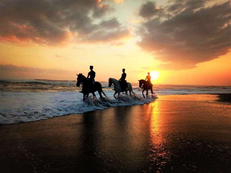 Bali: Horse Riding on Pigstone Beach and in the Rice Fields - Safety and Practical Considerations