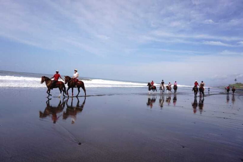 Bali: Horse Riding on Pigstone Beach and in the Rice Fields - Who Should Consider This Tour?