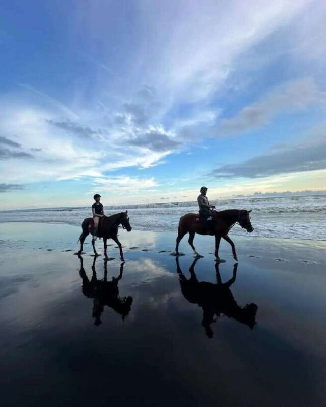 Bali: Horse Riding on the Beach and Rice field Tour - Key Points