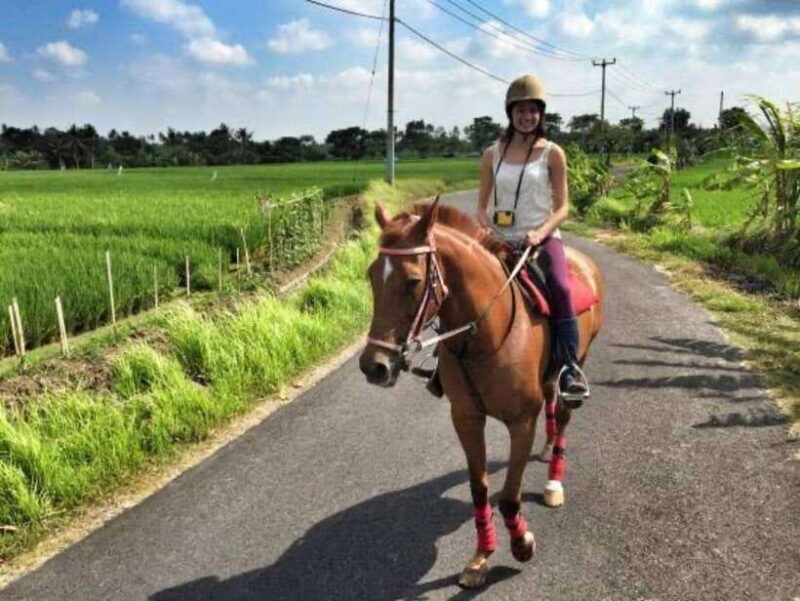Bali: Horse Riding on the Beach and Rice field Tour - The Itinerary in Detail