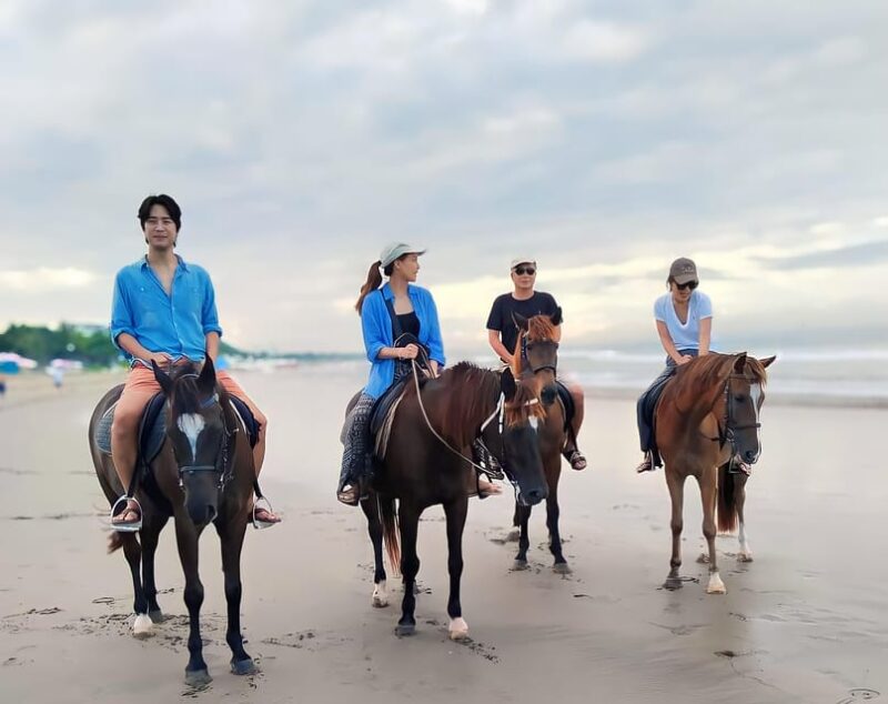 Bali: Horse Riding Tour on Seminyak Beach Include Transport - Important Information