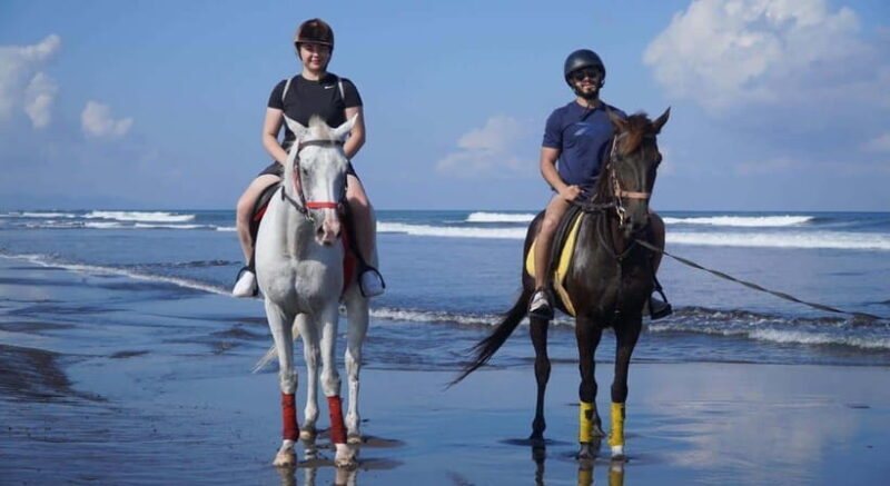 Bali: Horse Riding Trot And Canter On The Beach Experience - A Practical Review of Balis Horse Riding Trot and Canter on the Beach Experience