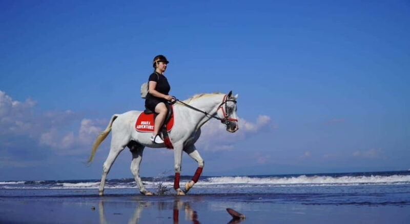 Bali: Horse Riding Trot And Canter On The Beach Experience - Key Points