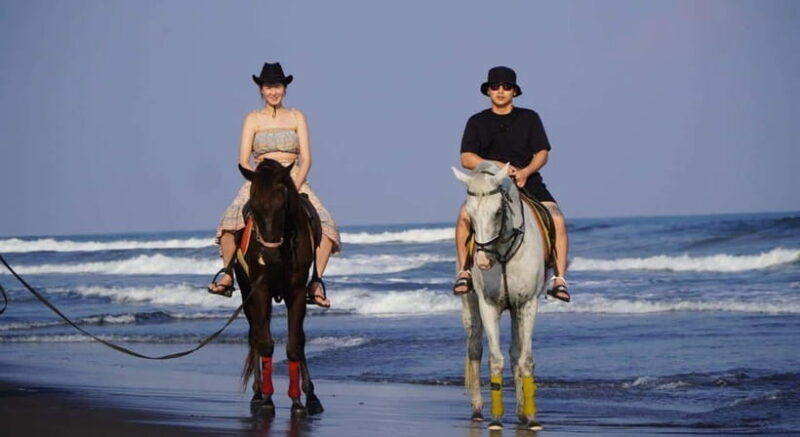 Bali: Horse Riding Trot And Canter On The Beach Experience - The Practicalities of Booking and Participation