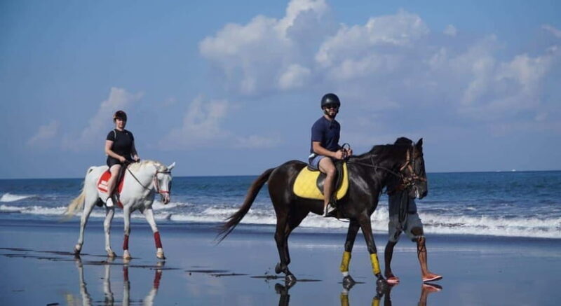 Bali: Horse Riding Trot And Canter On The Beach Experience - FAQ