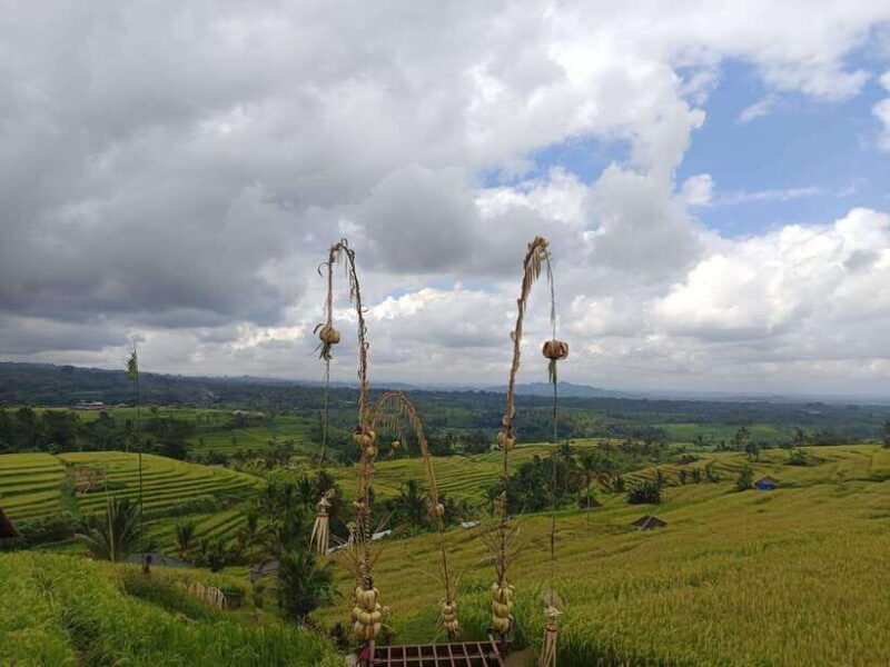 Bali in 1 Day : Iconic temples -UNESCO Sight - All inclusive - The Sum Up