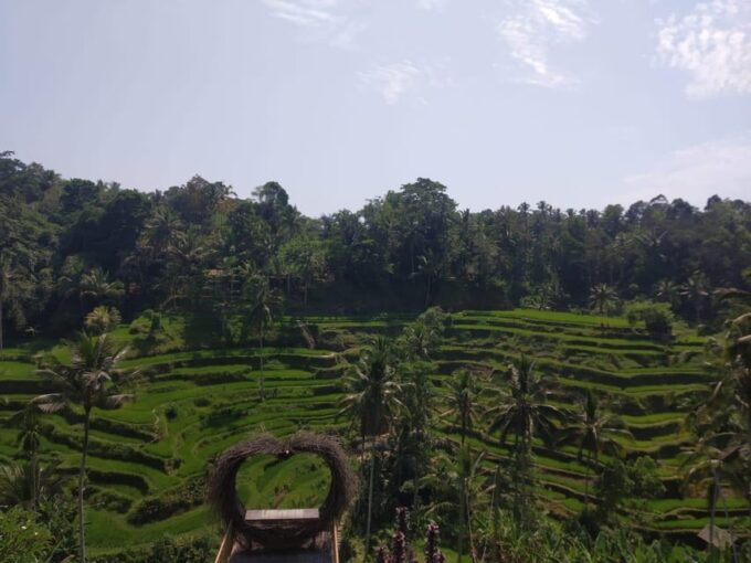 Bali in 1 Day : Iconic Temples -Unesco Sight - All Inclusive - Temple and Site Descriptions
