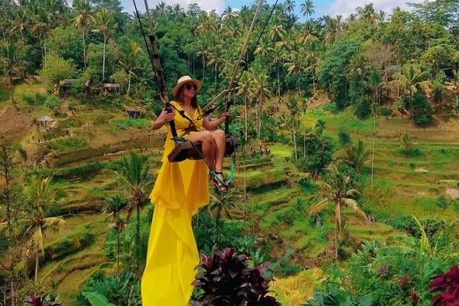 Bali Instagram Tour: The Most Scenic Spots - Legendary Rice Terraces