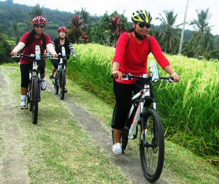 Bali: Jatiluwih Full-Day E-Bike and Trekking Tour - Trekking Through Rice Terraces