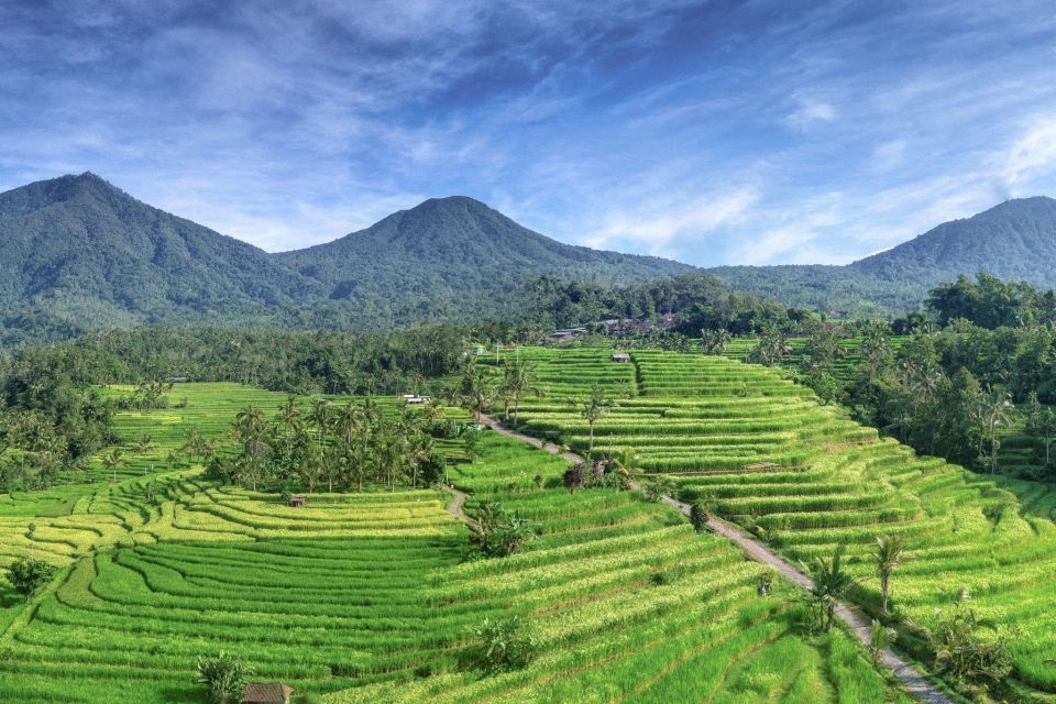 Bali: Jatiluwih Full-Day E-Bike and Trekking Tour - Included Amenities and Features