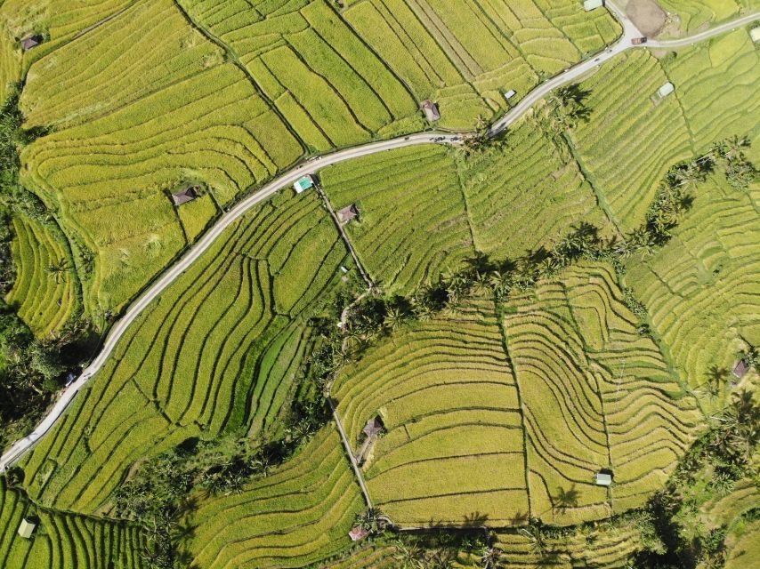 Bali Jatiluwih Rice Terrace and Tanah Lot Tour - UNESCO Tour - Key Points