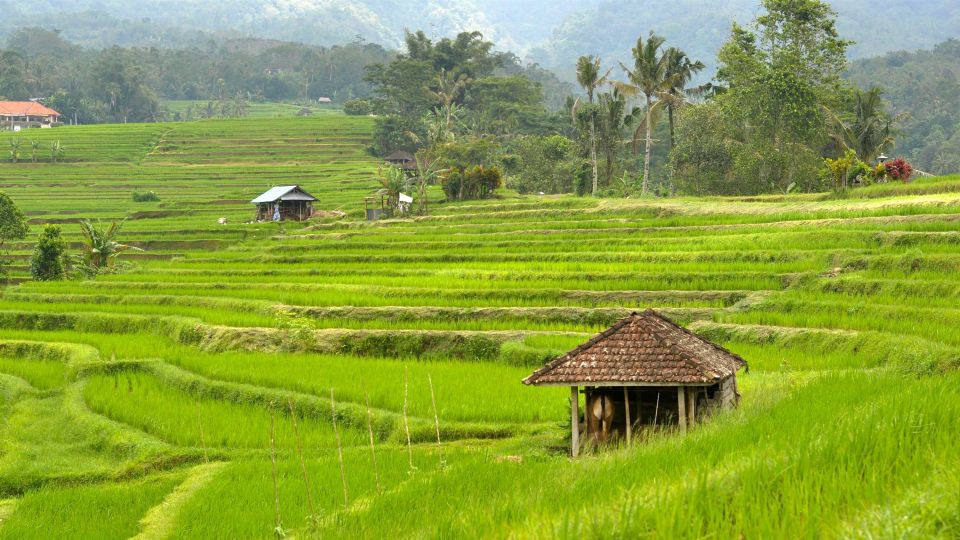 Bali Jatiluwih Rice Terrace and Tanah Lot Tour - UNESCO Tour - Tour Duration