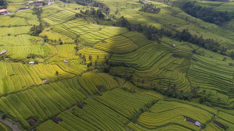 Bali Jatiluwih Rice Terrace and Tanah Lot Tour - UNESCO Tour - Frequently Asked Questions