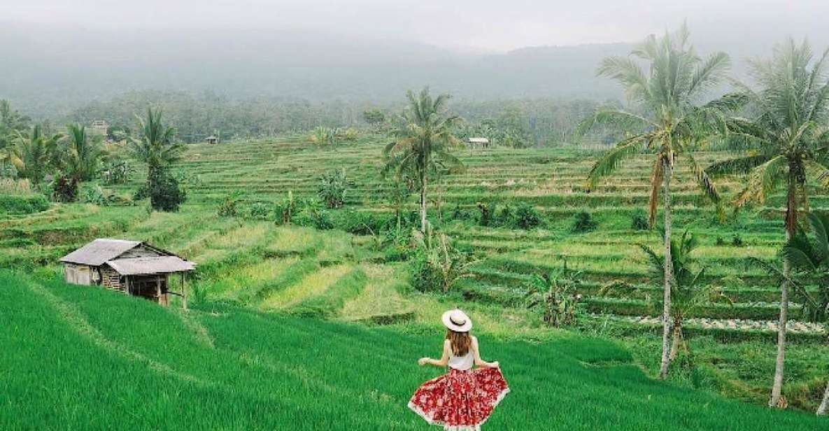 Bali: Jatiluwih Rice Terrace, Hidden Gem Waterfall & Temple - Itinerary