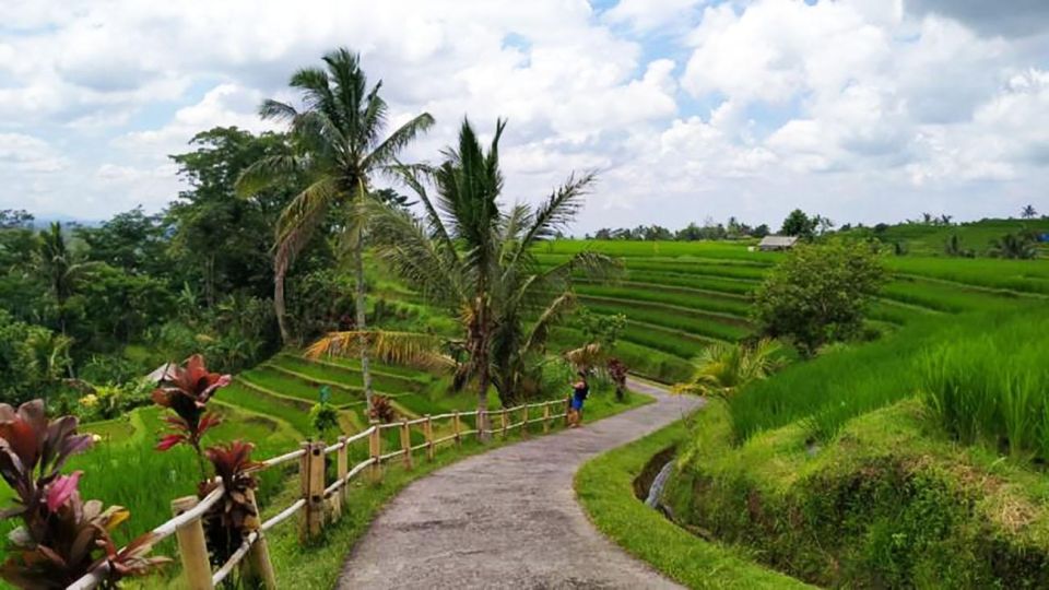 Bali: Jatiluwih Rice Terrace Sunrise Trekking With Breakfast - Inclusions for a Memorable Experience