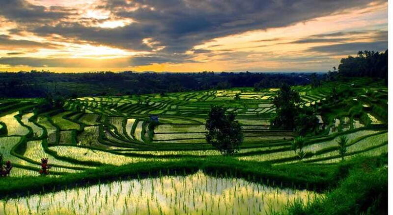 Bali: Jatiluwih Rice Terraces, Water Temple, Waterfall Tour - FAQ