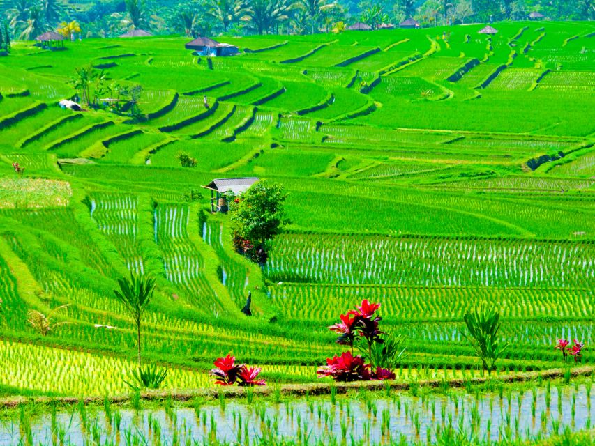 Bali: Jatiluwih UNESCO, Waterfall and Temple Private Tour - Leke-Leke Waterfall