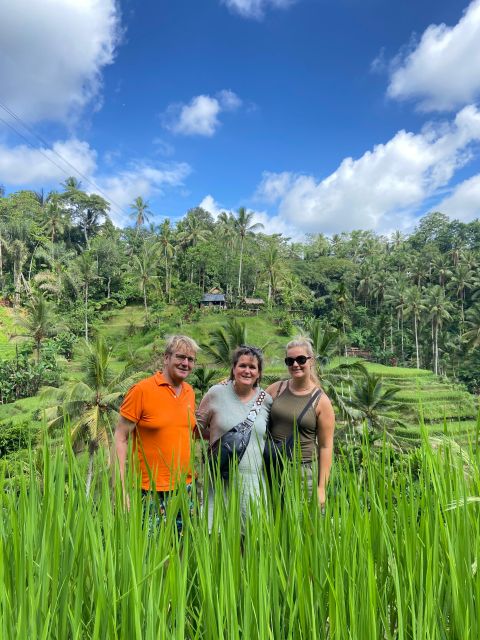 Bali Jeep Sunrise and Ubud Rice Terrace - Specialty Coffee Plantation