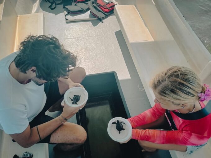 Bali: Jet Ski And Turtle Release With Watersport By Option - Important Considerations
